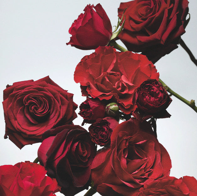 Jo Malone Red Roses Cologne