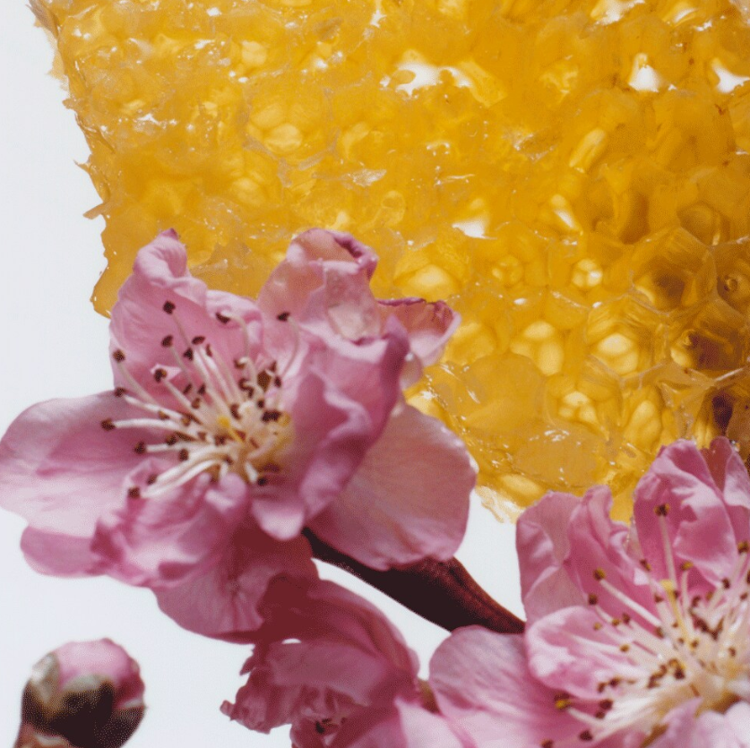 Crema corporal Jo Malone Nectarine Blossom & Honey